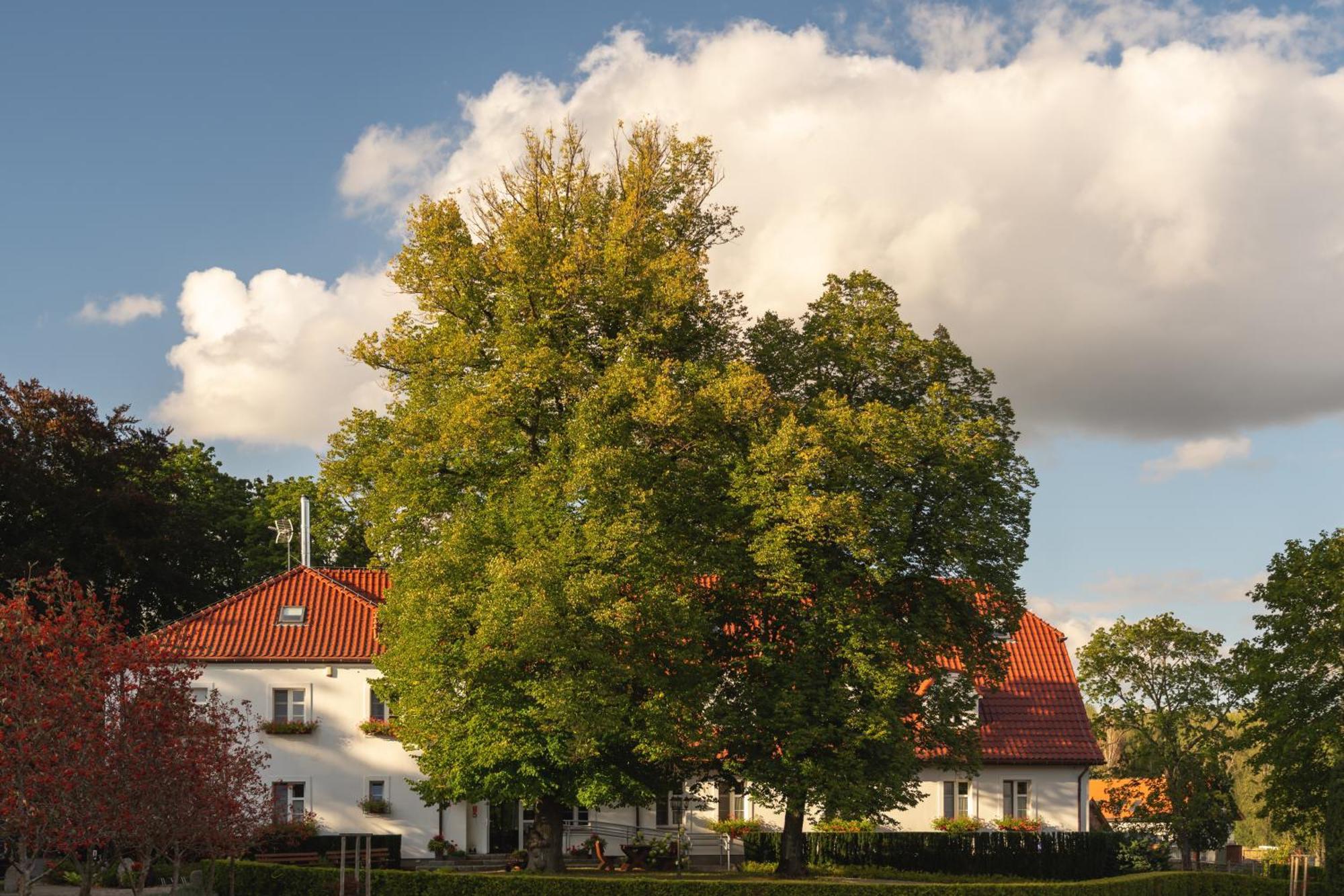 Stary Mlyn Strzeszyn Hotel Lubowo  Exterior foto